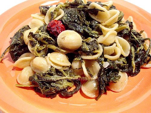 Orecchiette, Bari-style