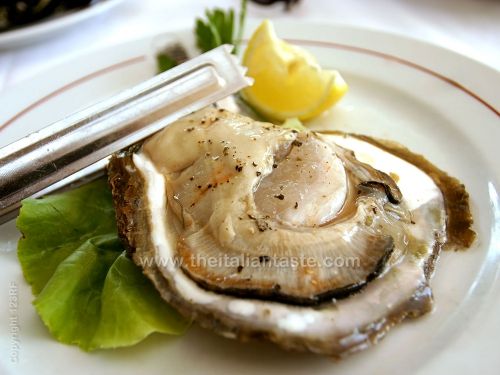 Raw oysters