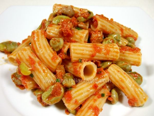 Rigatoni pasta with sausage and fava beans