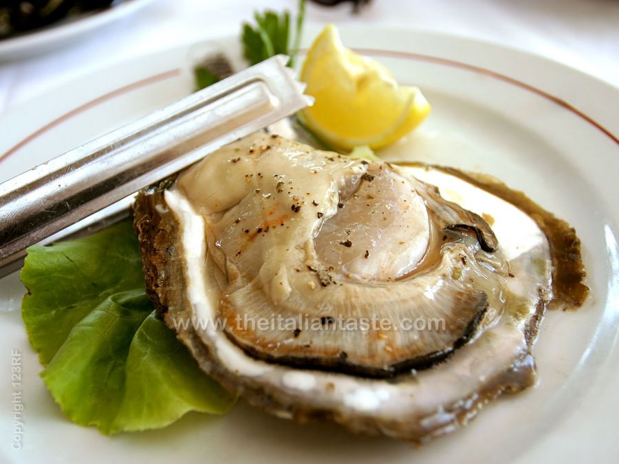 Raw oysters