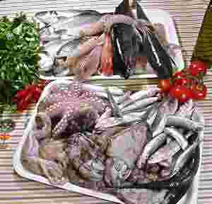 Fish, shellfish and molluscs